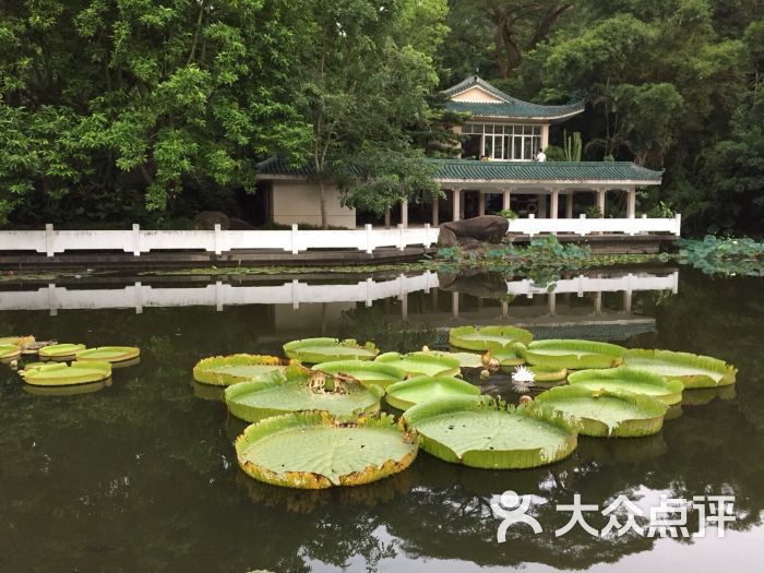 廈門園林植物園