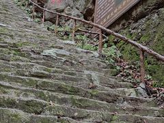 -天女山森林公园