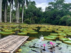 -中国科学院西双版纳热带植物园