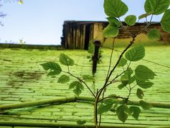 -石井坡(地铁站)