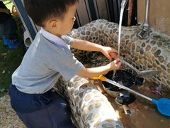 -上海市青苹果幼儿园(欧泊园)