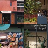 厦门首家森林系烤肉店｜绝了‼️人均60吃正宗东北烤肉