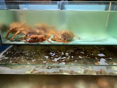 -樱之盛宴·蟹料理海鲜自助(前进大街店)