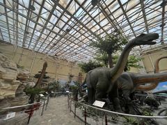 -国家自然博物馆