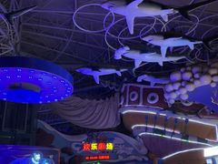 -烟台海昌鲸鲨海洋公园