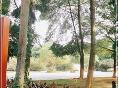 -广东茂名森林公园