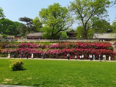 -红螺寺