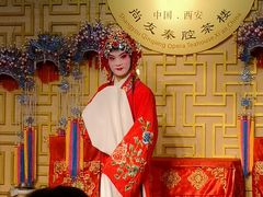 -陕西戏曲非遗博物馆