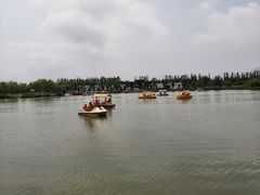 -上海长兴岛郊野公园