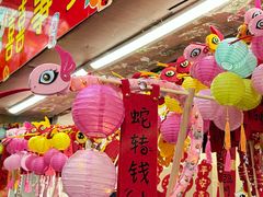 -越秀西湖花市(广州城市广场花卉店)