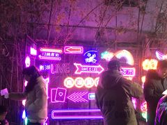 -南湖公园地摊集市