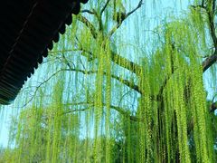-颐和园