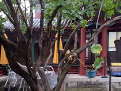 -宫事颐庭·老佛爷贵寿下午茶(颐和园店)