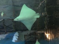 -常州海昌海洋探索馆