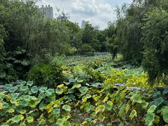 -岭南美术馆