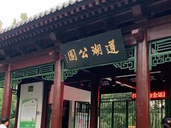 -莲湖公园