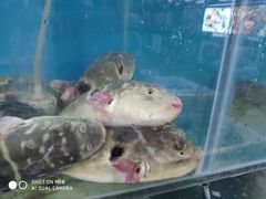 -瀏河老街土菜館(浏河店)