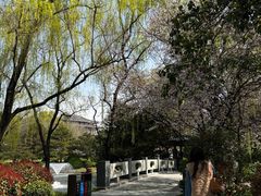 -唐御宴•御宴宫•唐代菜点(芙蓉西路店)