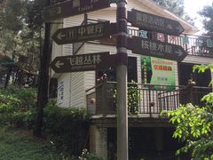 -铁山坪森林公园