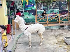 -上海昆虫博物馆