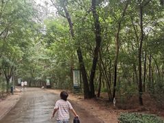 -廊坊市自然公园