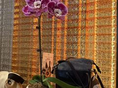 -OGGI TRATTORIA PIZZERIA(深业上城店)