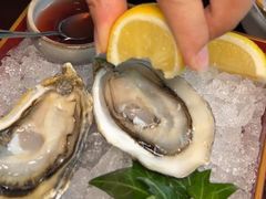 -普朗姆生蚝牛排馆 The Plump Oyster(成都摩方购物中心店)
