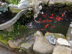 -寂照庵