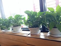 靠窗位-麦当劳(国际社区店)