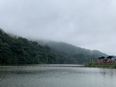 -广州市石门国家森林公园