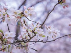 -西北湖绿化广场