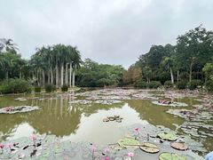 -中国科学院西双版纳热带植物园