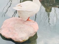 -龙华寺
