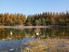 -吉林大学前卫南校区-湖畔餐厅