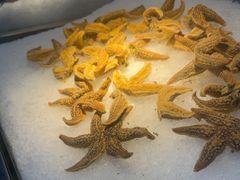 -圣罗巴海鲜烤肉自助(佳兆业店)