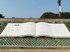 -观潮胜地公园
