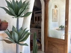 -Sirena海妖日咖夜酒