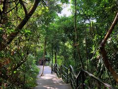 -七仙岭温泉国家森林公园