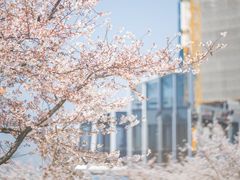 -龙美术馆(西岸馆)