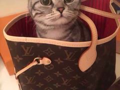 -上岛咖啡(华源四里店)