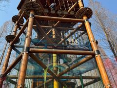 -黄海国家森林公园