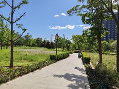-西海子公园