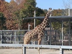 -上方山森林动物世界