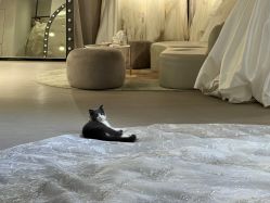 -B.Bridge Couture婚纱礼服(福田店)