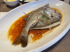白蕉海鲈鱼-江南原著(中联广场店)