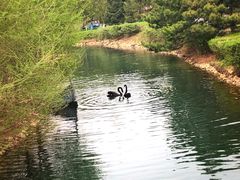 -长白岛森林公园