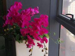 -东亿天弘演播大厅