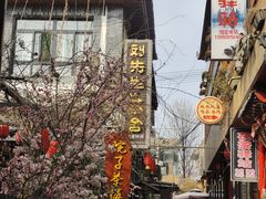 -茯茶镇