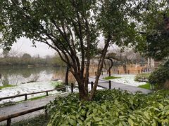 -新荣记(西溪湿地店)