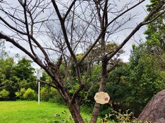 -广州市流溪河国家森林公园